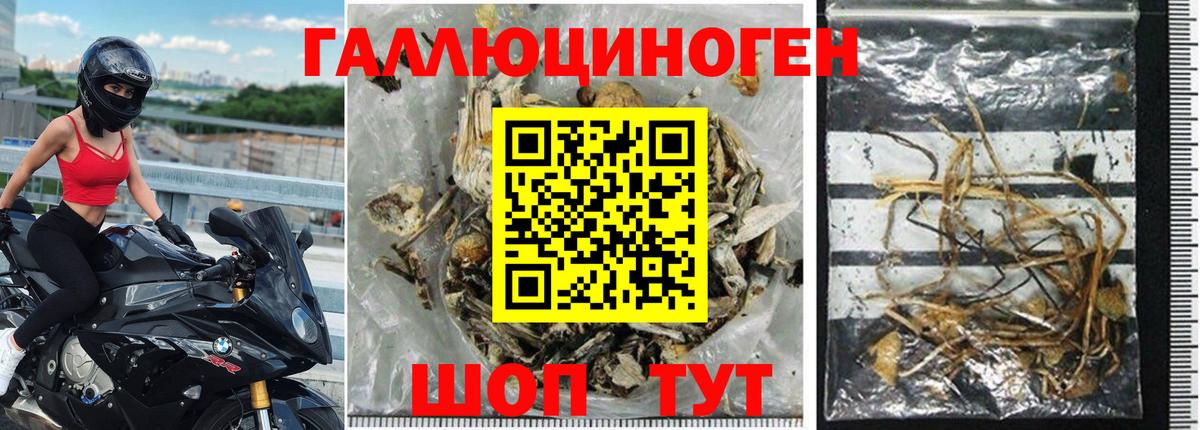 Галлюциногенные грибы Psilocybe Уварово